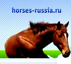 Лошади, Horses